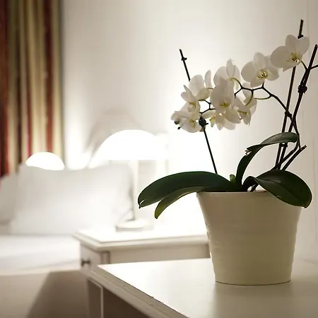 Andrelwirt Hotel Rauris