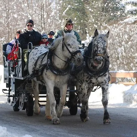 Andrelwirt Hotel Rauris